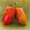 Dane aktualne na dzień: 13-06-2019 10:22 Link do produktu: http://www.goldplants.eu/nasiona-pomidor-plamisty-mozaikowy-5-sztuk-solanum-lycopersicum-speckledroman-n52-p-2560.html Nasiona.