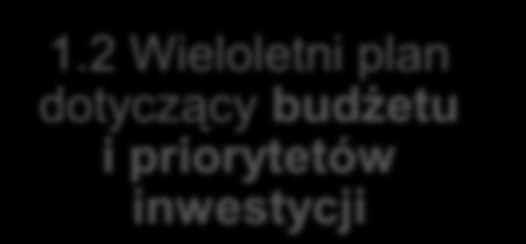 priorytetów inwestycji Strategia