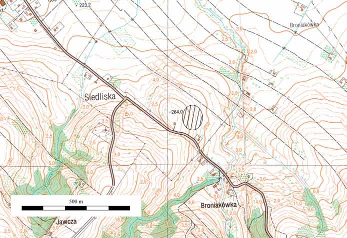 Ryc. 1. Siedliska, gm. Lubenia, pow. rzeszowski, stan. 10.