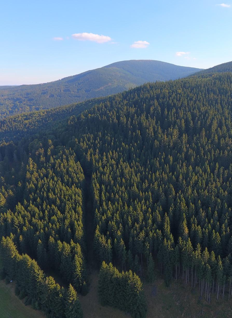 Unikalna lokalizacja Poczuj pro-zdrowotne działanie mikroklimatu z dala od smogu, spalin, zgiełku miasta w otoczeniu gór, gęstych lasów i krystalicznie czystego powietrza.