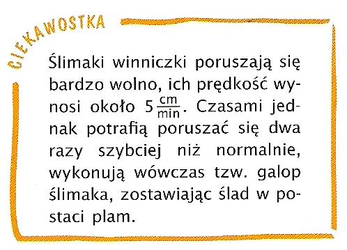Różne pojazdy (6 ) Pod rysunkami zapisano, z jaką prędkością poruszają się powóz, kombajn i bolid.