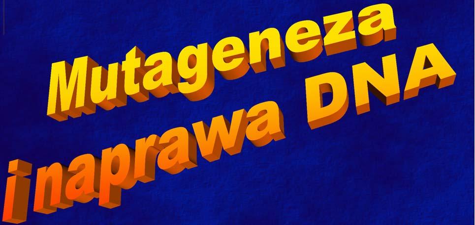 Mutageneza i naprawa DNA 1. Mutacje jako źródło zmienności Definicja Podział mutacji 2.