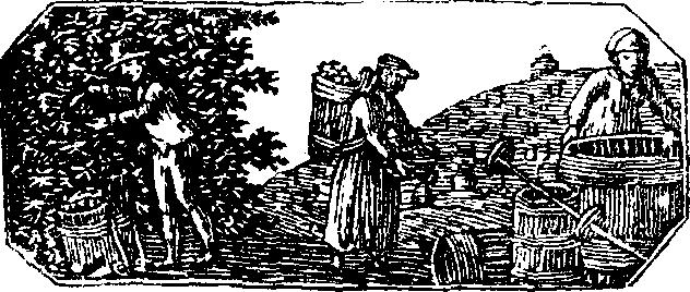 zrahele Rahele 20Eustachija}ß 3 5 35 1 1 9 njew obstajne Rakezy.* 40. tydzen. Text dop.: Luk. 10, 38 42; pop: Mark. 9, 31 41. pschinjescz. Dubz?. (Srabitt? 3 medz. 19.n. p.ßd " u t. P. sw. 21 15.n,p.