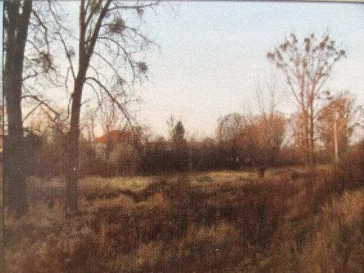 odpowiedniego zagospodarowania dolin. Obecnie obszary przywodne rzeki są pokryte zielenią, której formy i charakter są wynikiem naturalnej sukcesji rodzimych gatunków.