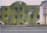 Szumigała na podstawie Balcerowiaka, 2008) c Podsumowanie Doliny rzeczne to nieocenione dla miasta rezerwuary biosfery.