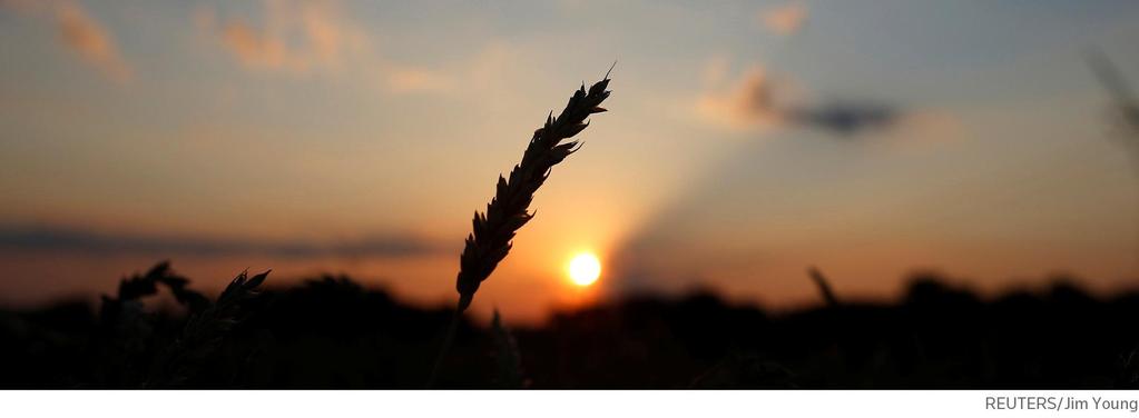 Dziękuję za uwagę! marcin.kapczynski@thomsonreuters.com http://wokinfo.