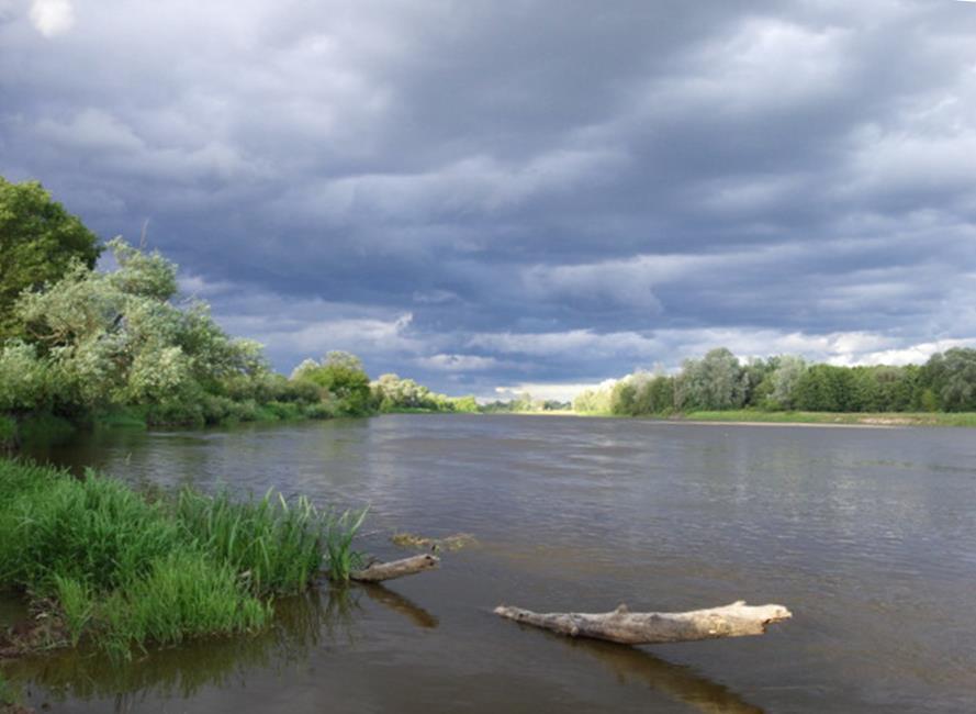 Analiza niektórych możliwych oddziaływań potencjalnej budowy międzynarodowej drogi wodnej E40 w Polsce na uwarunkowania hydrologiczne i środowiskowe pobliskich rzek i