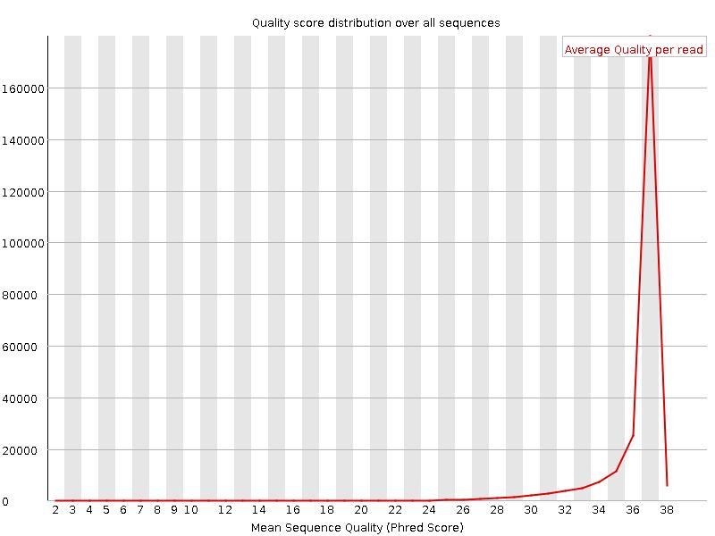 FASTQC PER SEQUENCE