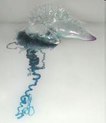(hydrochoria)