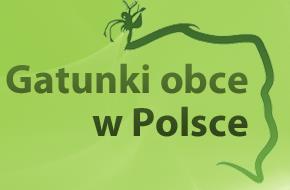 Gatunki obce w Polsce dziś