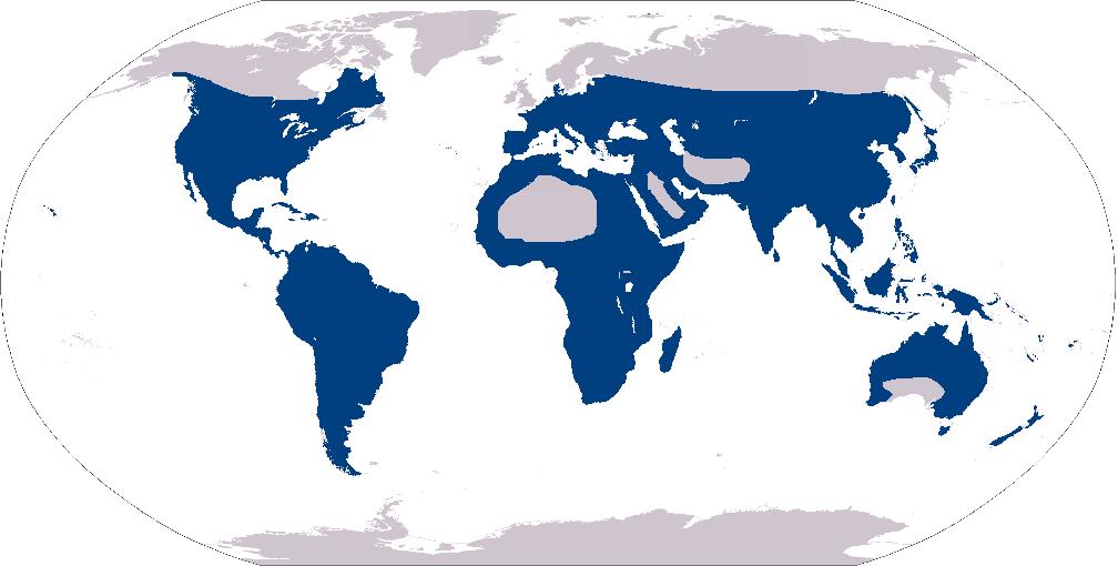 Biogeografia chorologiczna