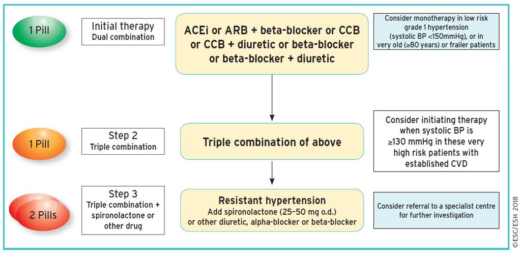 Choroba wieńcowa Różnice beta-adrenolityk lub CaB + drugi lek (bez zachowania zasady