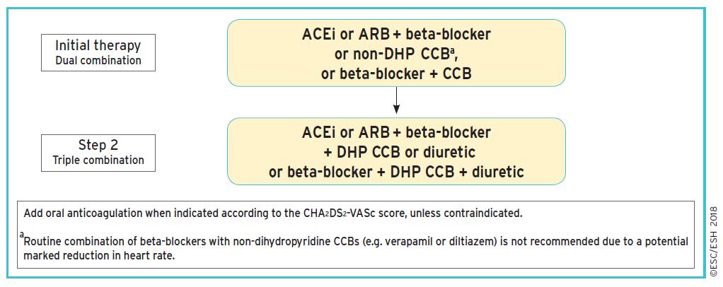 Migotanie przedsionków Różnice beta-adrenolityk (lub nie-dhp CaB) jako lek I rzutu (+ ACEI, ARB lub CaB) Diuretyk dopiero w kombinacji 3-lekowej (ale