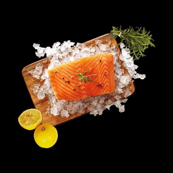 Salmon is Good.