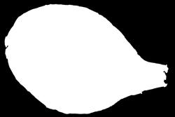 słodki omlet