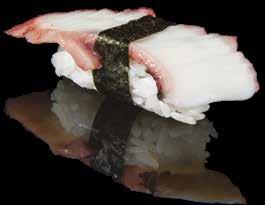 octopus 20 /pcs NIGIRI IKA TEN