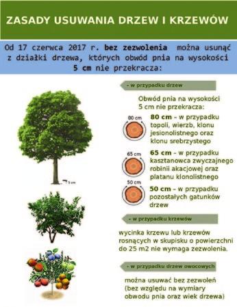 E-dowód posiada wszystkie dotychczasowe funkcje dowodu osobistego potwierdza twoją tożsamość i obywatelstwo oraz uprawnia do przekraczania granic niektórych