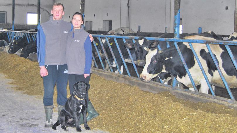 Wydajość: 6000 kg Stado pod oceą: Tak Powierzchia gospodarstwa: 27 ha Jałówka Grażya PL 005393545367 po buhaju WELON urodziała z ciąży bliźiaczej zdrowe i żywote cielęta.