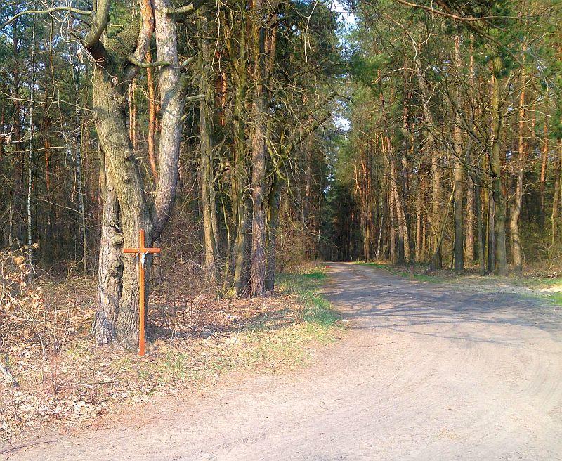 STACJA VIII (11,3 km trasy) Pan Jezus pociesza płaczące nad Nim Niewiasty Krzyż na skraju lasu i rozwidleniu drogi. 15.