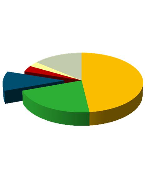 9,5 16,1 30,9 30,8 USA UE-28 Kanada Brazylia Chile pozostałe Produkcja wieprzowiny USA stanowi 11%