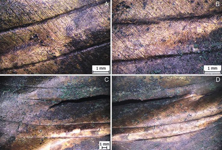 Archeologické rozhledy LXXI 2019 33 Obr. 3. Mikrosnímky povrchu pancíře s rytou výzdobou, stopami původního broušení a detaily mechanického poškození. Foto Š. Msallamová. Fig. 3. Microphotographs of the surface of the cuirass with incised decoration, traces of the original grinding and details of mechanical damage.