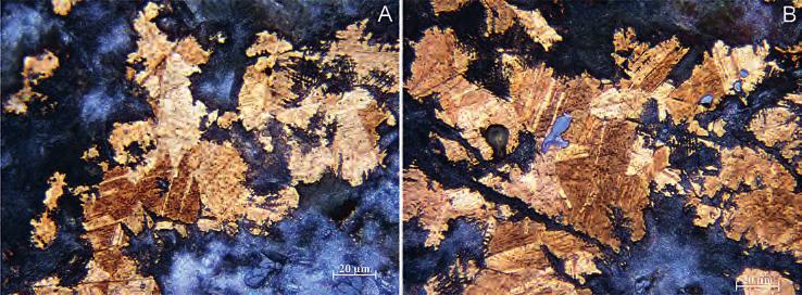 Corrosion of bronze alloy along the borders of grains and transcrystalline cracks propagation in the material (grey globular formations are copper sulphide inclusions). Obr. 6.