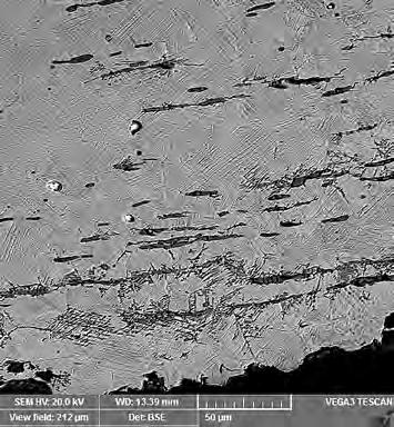 10. Sample 3 of the bronze cuirass. Corrosion damage to the bronze matrix around oriented copper sulphide inclusions. Obr. 11. Vzorek 3 bronzového pancíře.