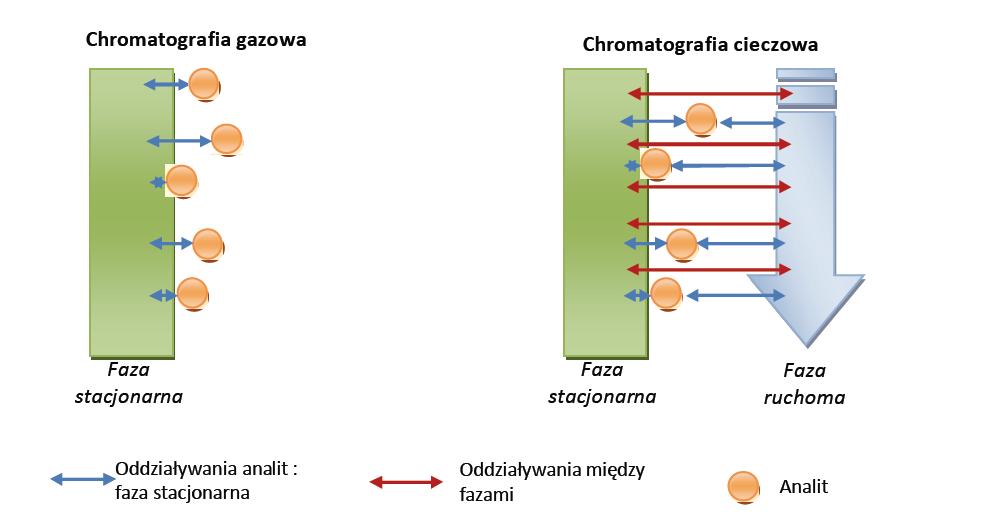 ROZDZIELENIE oddziaływania analit faza stacjonarna i analit faza