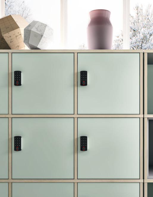 Nogi dębowe w naturalnym wybarwieniu. Cabinets, bookstands, lockers. Free matching of panels in different colour combinations. Additionally, diverse colour matches on panels and edges.