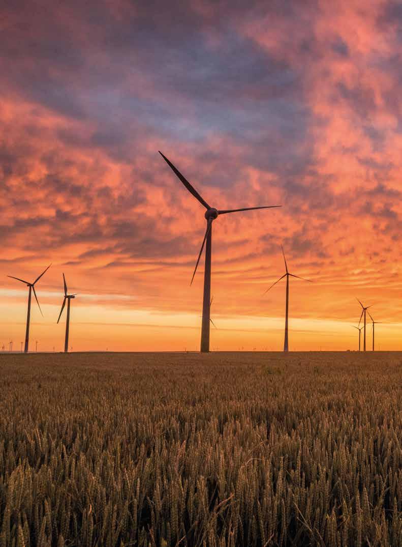 STRUKTURA PTPiREE ZARZĄD PTPiREE Polskie Towarzystwo ZGROMADZENIE KRAJOWE Przesyłu i Rozdziału Energii Elektrycznej jest