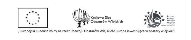 LISTA OCENIONYCH OPERACJI PARTNERÓW KRAJOWEJ SIECI OBSZARÓW WIEJSKICH W RAMACH NABORU DO DWULETGO PLANU OPERACYJNEGO KSOW NA LATA 2018-2019 DLA KONKURSU NR 3/2019 OGŁOSZONEGO W DNIU 4 STYCZNIA w