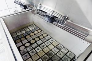 prefabrykatów, żwirowni i kopalń surowców mineralnych. Nasza specjalizacja to badanie betonu i innych materiałów budowlanych.