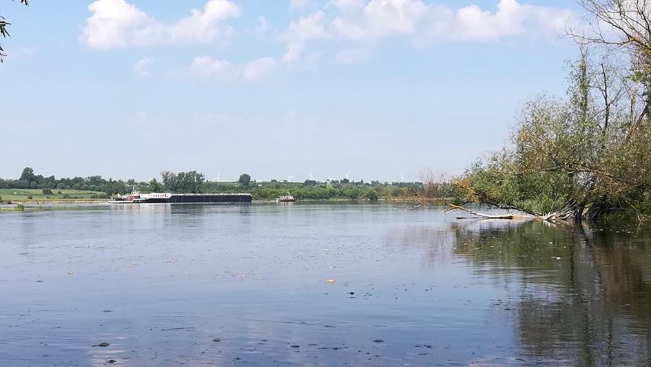 Zrzut wody we Włocławku Gniazdo z jajami rybitwy rzecznej Transport na