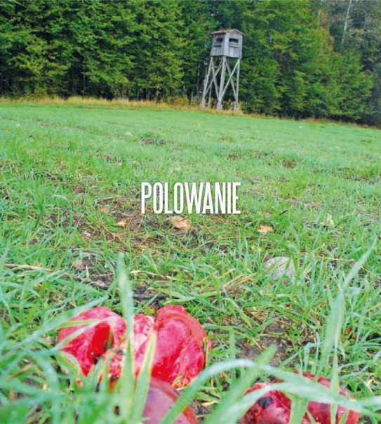 Plany