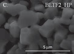 ), BLTF1 (B.), BLTF2 (C.), BLTF3 (D.). Fig. 6.