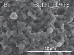 lead titanate ceramic samples PS: BLTF0 (A.), BLTF1 (B.