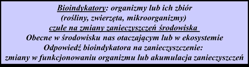 Względnie niski koszt