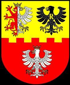 : 46-8333021 e-mail: psse.skierniewice@pis.gov.