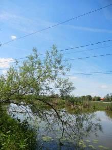 Zagrożenia: wypłycanie, eutrofizacja i spływ szkodliwych substancji z rolniczej zlewni, oddziaływanie żwirowni (np. obniżenie poziomu wód gruntowych).