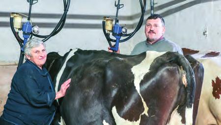 Właściciel stada/obory owner Lokalizacja stada/obory Miejscowość herd location MAJEWSCY URSZULA I EUGENIUSZ KOŁOZĄB POMORSKIE 1. MAJEWSKI EUGENIUSZ wydajność obory wł.