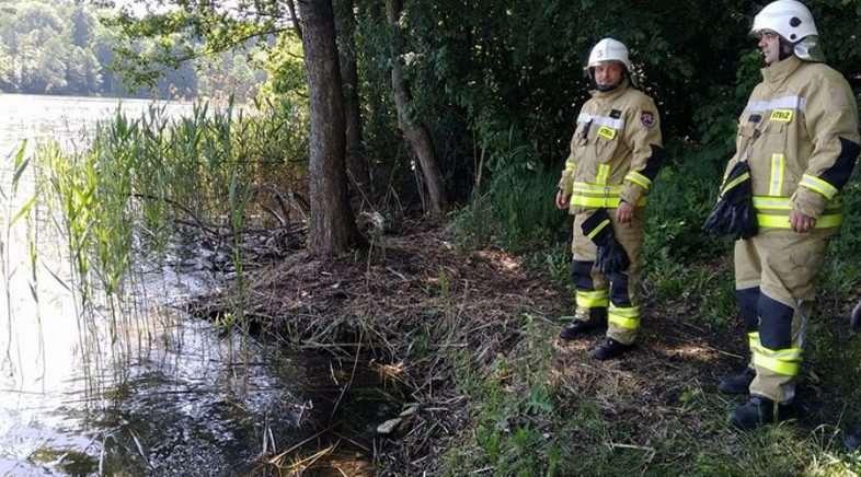 Tragedia nad jeziorem! W okolicach Łężan utonął 68-latek. Strażacy, policjanci i służby medyczne pracowały dzisiaj nad jeziorem Trzcinno w gminie Reszel. Nieopodal brzegi znaleziono tam topielca.