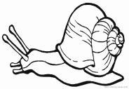 13:15 1:30 1:30 15:5 Sala nr Grafika Agnieszka Gębicka Magdalena Łakoma od lat Jeżyk kontra ślimak Realizacja własnych pomysłów na temat: Jeżyk kontra ślimak Technika graficzna: linoryt.