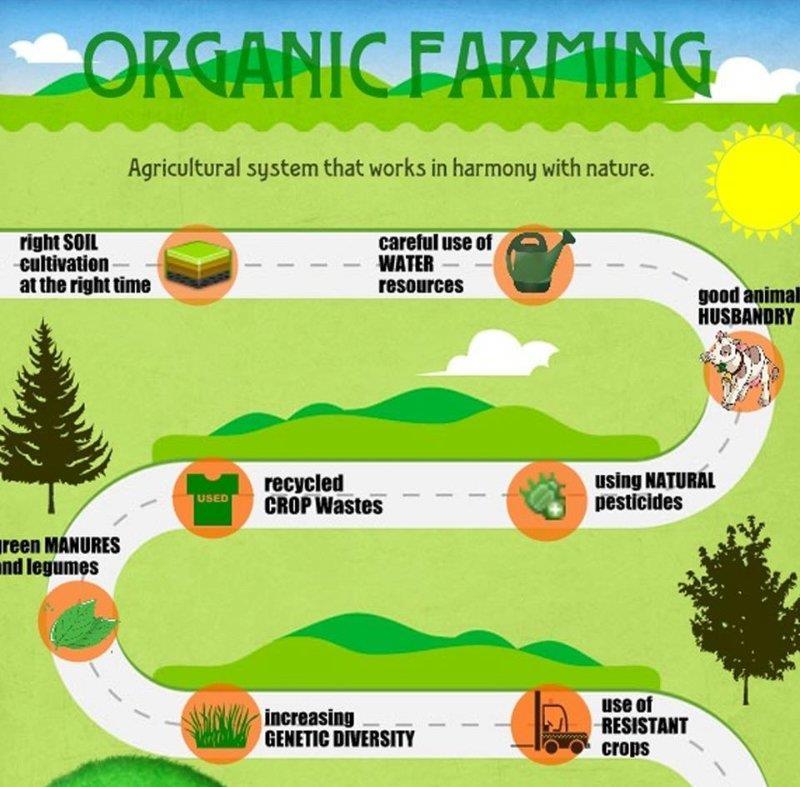 5 Organiczna uprawa roślin medycznych Uprawa organiczna jest systemem rolnym, który oferuje produkty zdrowe i o wysokiej jakości.