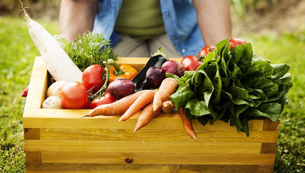 6 Organiczna uprawa roślin medycznych 1.