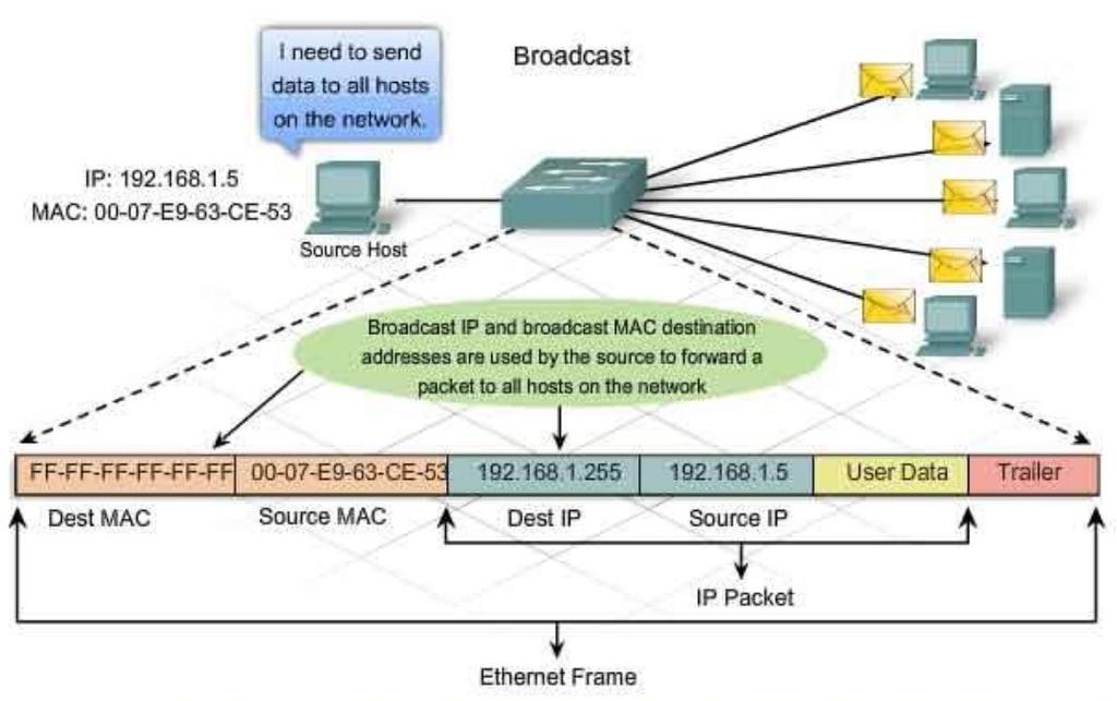 Adres MAC Wyróżniamy również adresy specjalne (zarówno MAC jak i IP): multicast odbieranie ramki przez