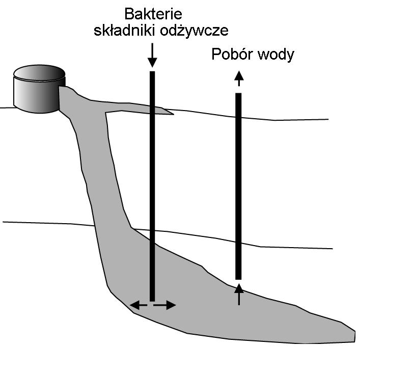 Sposób postępowania przy