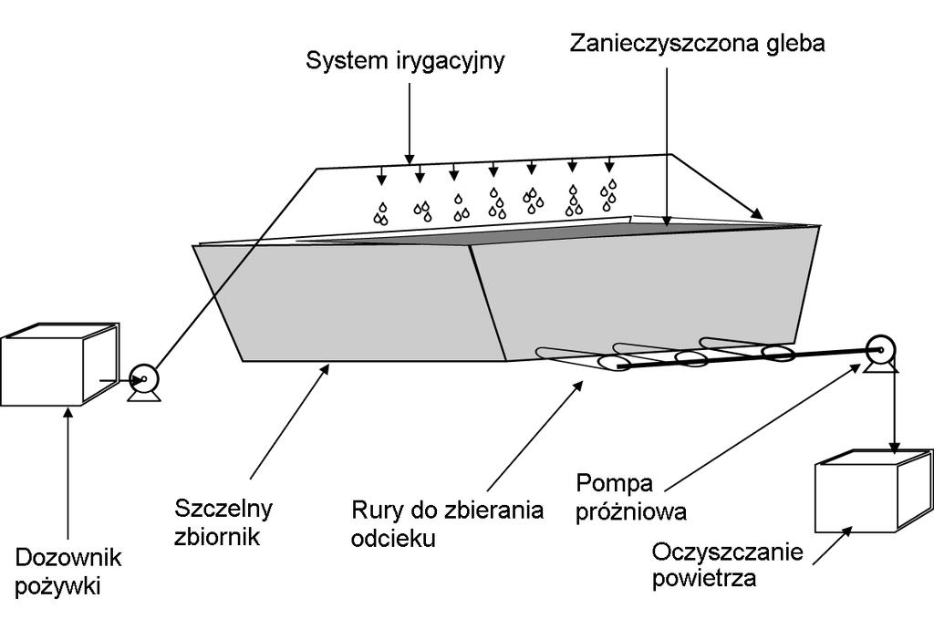 Bioremediacja