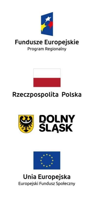 W zestawieniu znaków na materiałach informacyjnych i promocyjnych (z wyjątkiem tablic informacyjnych i pamiątkowych) oraz na dokumentach mogą znaleźć się następujące znaki: znak FE, barwy RP, herb