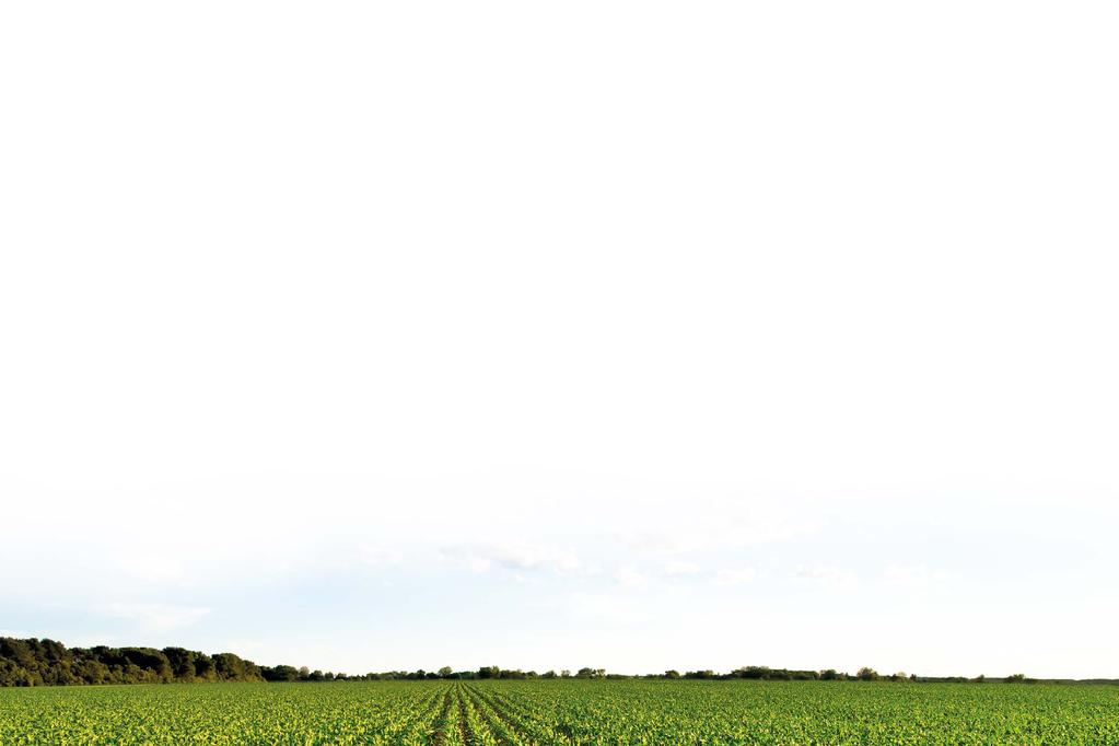 Wstęp Spis treści OD MAÏSADOUR SEMENCES DO MAS SEEDS Grupa Maïsadour została założona przez rolników dla rolników. Dzisiaj wszyscy członkowie zarządu nadal są rolnikami.