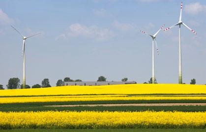 STABILNOŚĆ PLONU Stabilne plonowanie w latach niezależnie od warunków glebowo-klimatycznych.